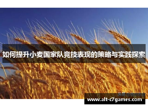 如何提升小麦国家队竞技表现的策略与实践探索